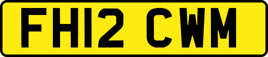 FH12CWM