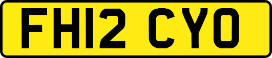 FH12CYO
