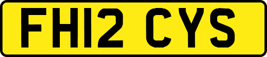 FH12CYS