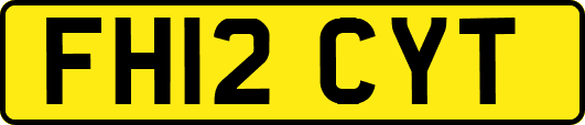 FH12CYT