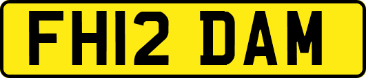FH12DAM