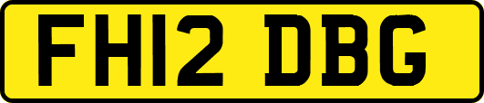 FH12DBG