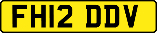 FH12DDV