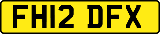 FH12DFX
