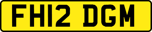 FH12DGM