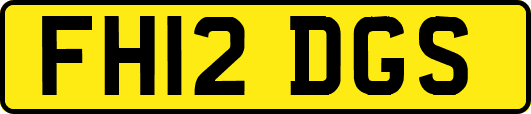 FH12DGS