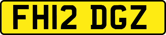 FH12DGZ