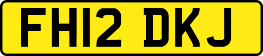 FH12DKJ