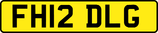 FH12DLG