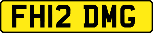 FH12DMG