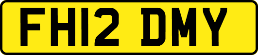 FH12DMY