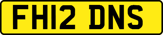 FH12DNS