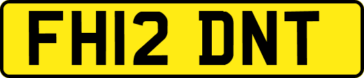 FH12DNT