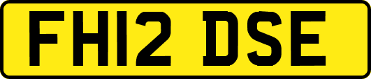 FH12DSE