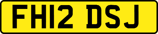 FH12DSJ