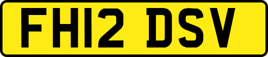 FH12DSV