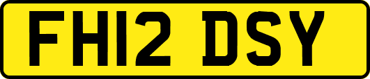 FH12DSY