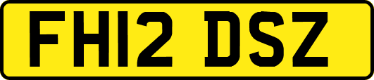 FH12DSZ