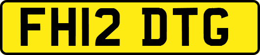 FH12DTG