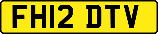 FH12DTV