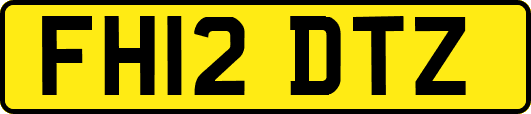 FH12DTZ