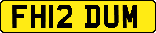 FH12DUM