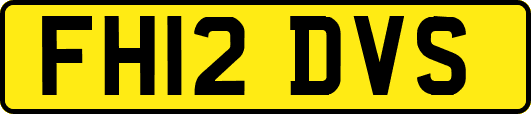 FH12DVS
