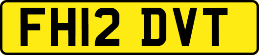 FH12DVT