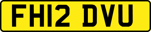 FH12DVU