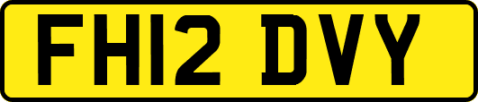 FH12DVY