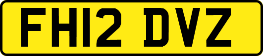 FH12DVZ