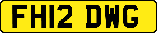 FH12DWG