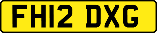 FH12DXG