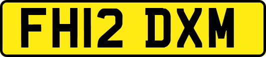 FH12DXM