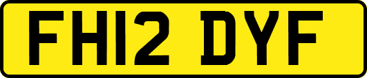 FH12DYF