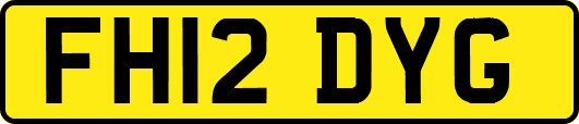 FH12DYG