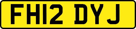 FH12DYJ