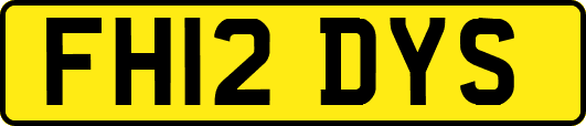 FH12DYS