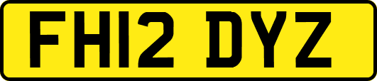 FH12DYZ