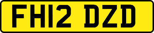 FH12DZD