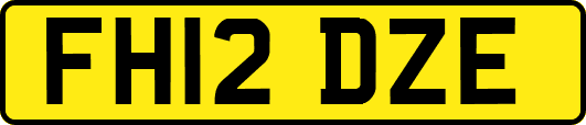 FH12DZE