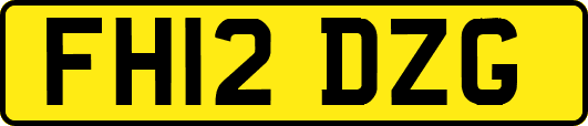 FH12DZG