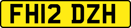 FH12DZH