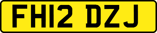 FH12DZJ