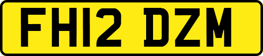FH12DZM