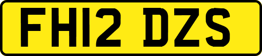 FH12DZS