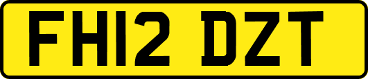 FH12DZT