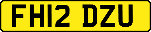 FH12DZU