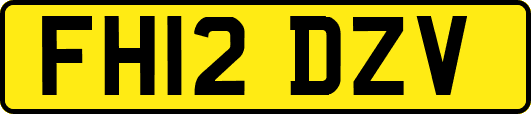 FH12DZV