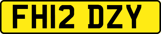FH12DZY